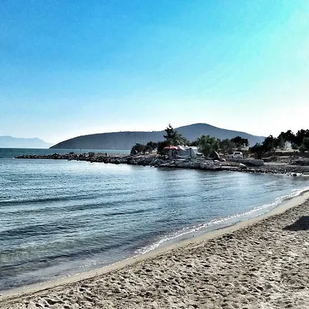 Iasos Kamp Cadir Karavan Alani Lüks kamp alanı