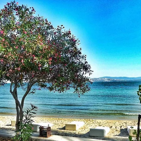 Iasos Kamp Cadir Karavan Alani Lüks kamp alanı Kıyıkıslacık